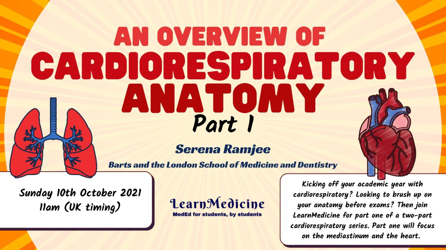 An Overview of Cardiorespiratory Anatomy Part 1 LearnMedicine